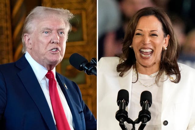 <p>Republican presidential nominee Donald Trump (left) and presumptive Democratic nominee Kamala Harris (right) </p>