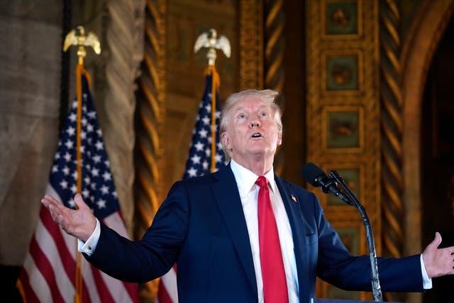 <p>Donald Trump gives a news conference at Mar-a-Lago in Florida. He called a question about why he wasn’t campaigning more ‘stupid’ </p>