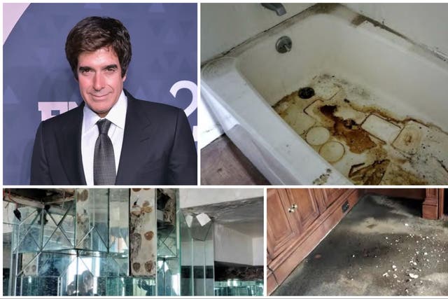 <p>David Copperfield has let his 15,000 square-foot penthouse get so dilapidated, it actually may threaten the structural integrity of the entire building, according to the property’s condo board.</p>