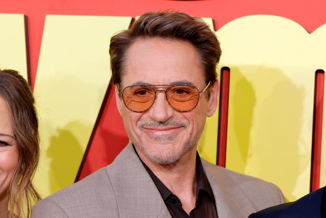 <p>Robert Downey Jr</p>