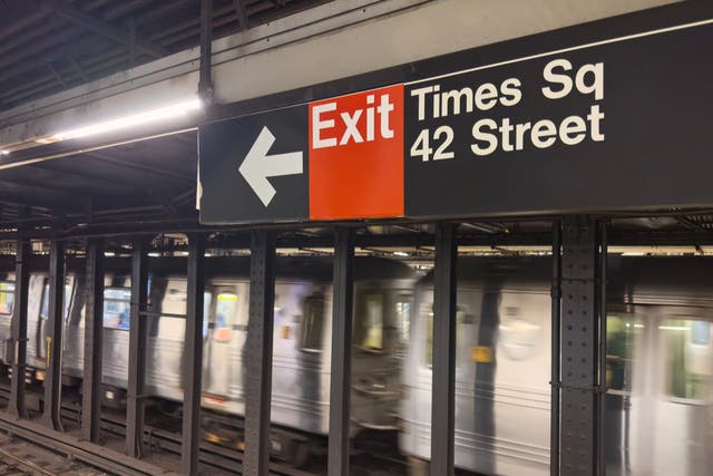 <p>Anthonia Egegbara fled the scene after pushing a 42-year-old woman into the path of the oncoming train in an unprovoked attack at the Times Square subway station in New York </p>