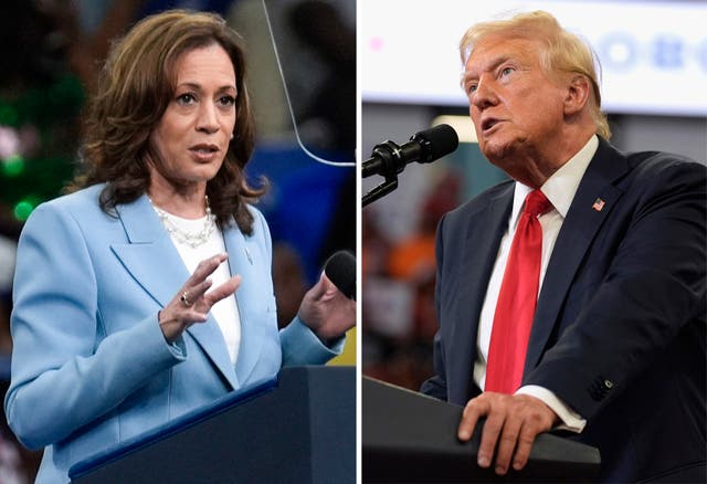 <p>Kamala Harris and Donald Trump will come face to face on stage next month </p>