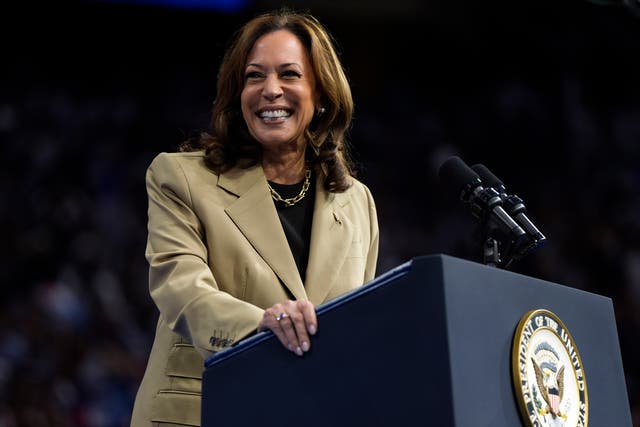 <p>Kamala Harris now leads Donald Trump among voters when it comes to who they trust to run the economy, the first time Democrats have been ahead on this issue in 2024 </p>