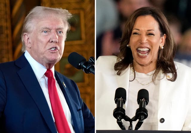 <p>Donald Trump at a news conference on August 8 in Palm Beach, Florida. Left, Kamala Harris speaks at a campaign rally on August 7 in Michigan. Republican pollster Frank Luntz described Trump as his own worst enemy when it comes to declining poll numbers this weekend  </p>