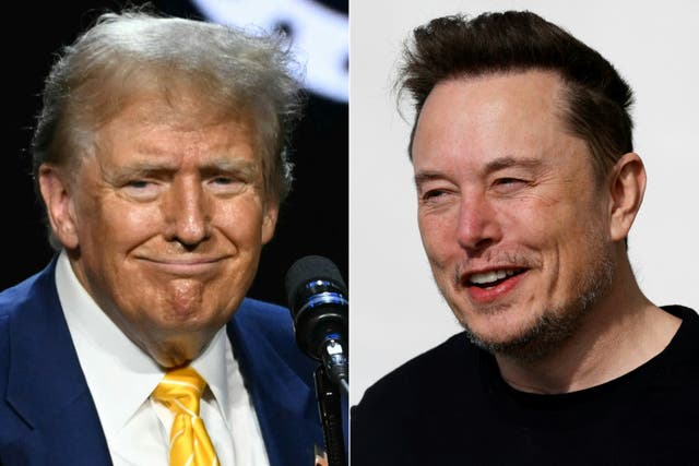 <p>Donald Trump and Elon Musk were supposed to speak for an interview on X spaces Monday evening.  It eventually got underway 40 minutes after a tech delay.  </p>