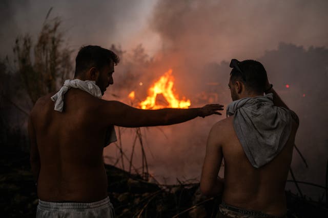 <p>Locals and firefighters tackle fierce wildfire burning near Athens as winds feared to spread blaze to capital  </p>