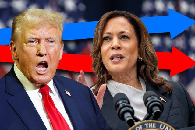 <p>Harris now has a 2.4-point lead over Trump in the latest average of national polls</p>