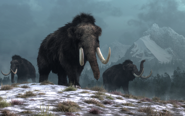 <p>A trio of woolly mammoths trudges over snow covered hills</p>